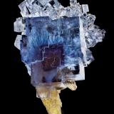 Fluorite<br />Minerva I Mine, Ozark-Mahoning group, Cave-in-Rock Sub-District, Hardin County, Illinois, USA<br />9 x 7.2 x 6.2 cm / main crystal: 6.1 cm<br /> (Author: MIM Museum)