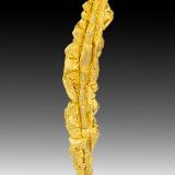 Gold<br />Aouint Ighoman, Assa-Zag Province, Guelmim-Oued Noun Region, Morocco<br />25 mm x 3 mm x 2 mm<br /> (Author: Carles Millan)