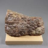 Esfalerita (variedad schalenblenda)<br />Zona minera Bleiberg, Alpe Gailtaler & Alpe Karnische, Carintia/Kärnten, Austria<br />9,3 x 6 x 2,7 cm.<br /> (Autor: J. G. Alcolea)
