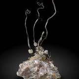Plata con Calcita<br />Depósito Jizishan, Linqu, Prefectura Weifang, Provincia Shandong, China<br />8.5 × 4.4 × 3 cm<br /> (Autor: Jordi Fabre)