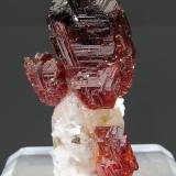 Spessartina con Cuarzo<br />Concesión Navegadora (Concesión Orozimbo), Penha do Norte, Conselheiro Pena, Vale do Rio Doce, Minas Gerais, Brasil<br />3 × 1.7 × 1.8 cm<br /> (Autor: Jordi Fabre)