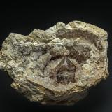 Quartz (variety smoky quartz), Quartz<br />Mooralla, Southern Grampians Shire, Victoria, Australia<br />9.0 x 6.5 cm<br /> (Author: am mizunaka)