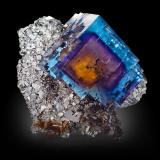 Fluorite<br />Minerva I Mine, Rosiclare formation, Ozark-Mahoning group, Cave-in-Rock Sub-District, Hardin County, Illinois, USA<br />7 x 10 x 11 cm / main crystal: 7.3 cm.<br /> (Author: MIM Museum)