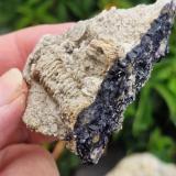 Fluorite<br />Dirtlow Rake, Castleton, High Peak District, Derbyshire, England / United Kingdom<br /><br /> (Author: Forrestblyth)
