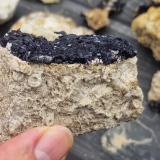 Fluorite on limestone crinoid bed<br />Dirtlow Rake, Castleton, High Peak District, Derbyshire, England / United Kingdom<br />7cm<br /> (Author: Forrestblyth)