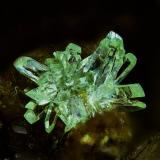 Austinita<br />Mina Christiana, Minas Kamariza, Agios Konstantinos, Distrito minero Lavrion, Prefectura Attikí (Attica), Grecia<br />2 mm<br /> (Autor: Borja Sainz de Baranda)
