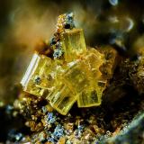 Nealita<br />Playa del Gachero, Puerto de Mazarrón, Mazarrón, Comarca Alto Guadalentín, Región de Murcia (Murcia), España<br />2 mm<br /> (Autor: Borja Sainz de Baranda)