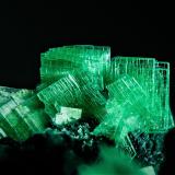 ZeuneritaLa Profunda Mine, Collada de Cármenes, Cármenes, Comarca Los Argüellos, León, Castile and León, Spain5 mm (Autor: Borja Sainz de Baranda)