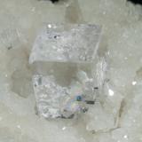 Fluorita con inclusiones de Calcopirita<br />Cantera Llamas, filón Obdulia, zona Minera Caravia, Las Cabañas, Duyos, Caravia, Comarca Oriente, Principado de Asturias (Asturias), España<br />cristal mayor: 1 × 0.7 cm<br /> (Autor: Jordi Fabre)