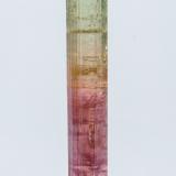 Elbaite<br />Rubaya, Bahunde, Masisi Territory, North Kivu Province (Kivu), Democratic Republic of the Congo (Zaire)<br />7 × 1.2 × 1 cm<br /> (Author: Jordi Fabre)