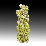Titanita, AlbitaAnkarafa, Distrito Vohémar, Región Sava, Provincia Antsiranana, Madagascar85 mm x 30 mm x 30 mm. Cristal mayor: 15 mm (Autor: Carles Millan)