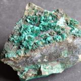 MalachiteMina Alte Malscheid, Malscheid, Herdorf, Siegerland, Renania-Palatinado/Rheinland-Pfalz, Alemania6,5 x 6 cm (Author: Volkmar Stingl)