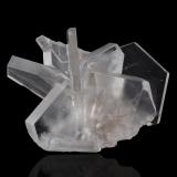 AftitalitaKerr McGee Mine, Carlsbad Potash District, Eddy County, New Mexico, USA6.5 x 5 x 5 cm / Cristal principal: 5 cm. (Autor: Museo MIM)