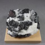 Magnetita<br />Mina Kovdor Zheleznyi, Macizo Kovdor, Península Kola, Murmanskaja Oblast, Región del Norte, Rusia<br />7,3 x 6 x 3,3 cm.<br /> (Autor: J. G. Alcolea)
