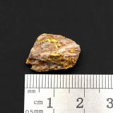 Gold, Quartz<br />Mulgrave River, Far North Queensland Region, Queensland, Australia<br />2 cm<br /> (Author: Tobi)
