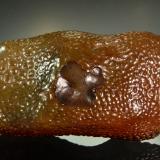 Chalcedony<br />Rome, Malheur County, Oregon, USA<br />7.4 x 3.6 x 2.5 cm<br /> (Author: Michael Shaw)