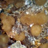Eosphorita<br />Concesión Ilha, Taquaral, Itinga, Vale do Jequitinhonha, Minas Gerais, Brasil<br />Glóbulos de 3 mm.<br /> (Autor: Antonio P. López)