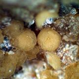 Eosforita<br />Concesión Ilha, Taquaral, Itinga, Vale do Jequitinhonha, Minas Gerais, Brasil<br />Glóbulos de 3 mm.<br /> (Autor: Antonio P. López)
