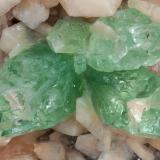 Fluorapophyllita-(K) con Stilbita-Ca<br />Distrito Pune (Distrito Poonah), Maharashtra, India<br />el cristal mayor mide: 3.5 × 2 cm<br /> (Autor: Jordi Fabre)