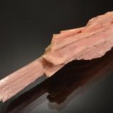 SchizoliteCantera Poudrette, Mont Saint-Hilaire, La Vallée-du-Richelieu RCM, Montérégie, Québec, Canadá8.6 x 2.5 x 2.1 cm (Author: Michael Shaw)