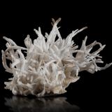 Aragonite (variety flos ferri)Hilarion Mine, Hilarion area, Kamariza Mines, Agios Konstantinos, Lavrion Mining District, Attikí (Attica) Prefecture, Greece7 x 8 x 6.5 cm (Author: MIM Museum)