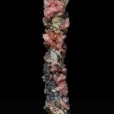 RhodochrositeZona minera N'Chwaning, Kuruman, Kalahari manganese field (KMF), Provincia Septentrional del Cabo, Sudáfrica4.7 x 1.1 cm (Author: am mizunaka)