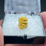 Gold<br />Serra Dourada, Pontes e Lacerda, Alto Guaporé District, Mato Grosso, Brazil<br />10 mm x 7 mm x 6 mm<br /> (Author: Carles Millan)