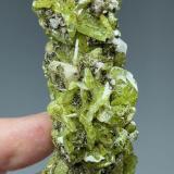 Titanita, AlbitaAnkarafa, Distrito Vohémar, Región Sava, Provincia Antsiranana, Madagascar85 mm x 34 mm.. Cristal mayor: 12 mm. Masa: 95 g. (Autor: Carles Millan)