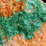Malaquita<br />El Saltador, Carboneras, Comarca Levante Almeriense, Almería, Andalucía, España<br />6 x 6 cm.<br /> (Autor: Felipe Abolafia)