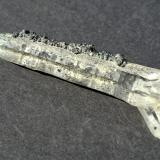 Quartz, Clinochlore<br />Neves Lake area, Lappago, Selva dei Molini Valley, Trento Province, Trentino-Alto Adige (Trentino-Südtirol), Italy<br />7,0 x 1,4 cm<br /> (Author: Volkmar Stingl)