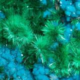 Brochantite with Chrysocolla and Atacamite<br />Los Azules Mine, Quebrada San Miguel, Copiapó Province, Atacama Region, Chile<br />7.2 × 4.3 × 2.6 cm<br /> (Author: Jordi Fabre)