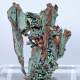 Copper and Malachite<br />Ray Mines, Scott Mountain area, Mineral Creek District, Dripping Spring Mountains, Pinal County, Arizona, USA<br />3.2 × 2.4 × 0.8 cm<br /> (Author: Jordi Fabre)