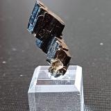 Augite<br />Seebachkar, Obersulzbach Valley, Bramberg am Wildkogel, Zell am See District, Hohe Tauern, Salzburg, Austria<br />30mm x 10mm x 6mm<br /> (Author: Philippe Durand)