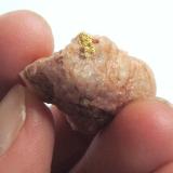 Gold, quartz<br />Viúva claim, Senador Mourão, Diamantina, Vale do Jequitinhonha, Minas Gerais, Brazil<br />Specimen size 3 cm, the gold measures 5 mm<br /> (Author: Tobi)
