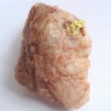 Gold, quartz<br />Viúva claim, Senador Mourão, Diamantina, Vale do Jequitinhonha, Minas Gerais, Brazil<br />Specimen size 3 cm, the gold measures 5 mm<br /> (Author: Tobi)