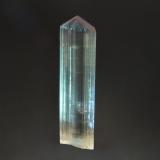 DiasporePinarcik, Distrito Milâs, Provincia Mu&#287;la, Región Egeo, Turquía4.0 x 1.3 x 0.7 cm (Author: Michael Shaw)