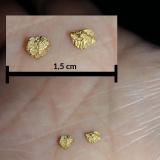 Gold<br />Agua Fria River, Yavapai County, Arizona, USA<br />each nugget measures 3 mm<br /> (Author: Tobi)