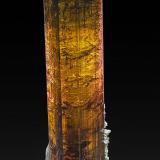 Fluor-liddicoatite<br />Befisiotra, Tsitondroina, Ikalamavony District, Haute Matsiatra Region, Madagascar<br />13.2 x 3.4 cm<br /> (Author: am mizunaka)