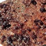 Grossular (variety Hessonite)Paso Faiallo, Urbe, Provincia Savona, Liguria, Italia7,5 x 5 cm (Author: Volkmar Stingl)