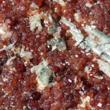 Grossular (variety hessonite), DiopsideVal di Susa, Provincia Ciudad metropolitana de Turín, Piamonte (Piemonte), Italia7 x 7 cm (Author: Volkmar Stingl)