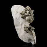 Marcasite with Pyrite<br />Cap Blanc-Nez, Pas-de-Calais, Hauts-de-France, France<br />5 x 8.5 x 12 cm / main crystal: 4.1 cm<br /> (Author: MIM Museum)