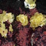 SaléeitaMina El Pedregal, Hoya del Lobo, La Haba, Comarca La Serena, Badajoz, Extremadura, EspañaCampo de visión 4 mm. (Autor: Antonio P. López)