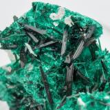 Brochantite<br />Milpillas Mine, Cuitaca, Municipio Santa Cruz, Sonora, Mexico<br />main crystal size: 1 × 0.2 cm<br /> (Author: Jordi Fabre)