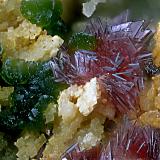 Erythrite and Conichalcite<br />Mina La Encontrada, Los Tejares, Ítrabo-Molvízar, Comarca Costa Granadina, Granada, Andalusia, Spain<br />1.5mm<br /> (Author: Carlos Pareja)