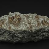 Quartz (variety smoky quartz)<br />Zinggenstöcke, Oberaar Lake area, Grimsel area, Hasli Valley, Bern, Switzerland<br />15.2 x 7.2 cm<br /> (Author: am mizunaka)