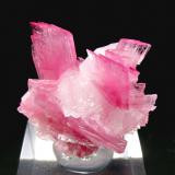 Rhodonite on CalciteMina San Martín, Chiurucu (Chiuruco), Distrito Huallanca, Provincia Bolognesi, Departamento Ancash, Perú2.1 × 2.1 × 1.6 cm (Author: Jordi Fabre)