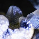 Cerusita y Galena.<br />El Pinar de Bédar, El Pinar, Bédar, Comarca Levante Almeriense, Almería, Andalucía, España<br />4 Fvo.<br /> (Autor: Jesus Franquesa Baucells)