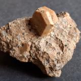 OrthoclaseBaito del Manzo, Valfloriana, Provincia Trento, Trentino-Alto Adige (Trentino-Südtirol), Italia6 x 5 cm (Author: Volkmar Stingl)