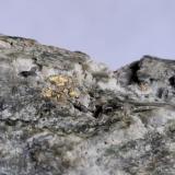 GoldHainzenberg, Valle Ziller (Zillertal), Tirol Norte, Tirol, Austria6,5 x 3 cm (Author: Volkmar Stingl)