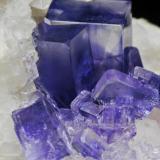 Fluorite on Quartz<br />Llamas Quarry, Obdulia vein, Caravia mining area, Las Cabañas, Duyos, Caravia, Comarca Oriente, Principality of Asturias (Asturias), Spain<br />6 × 4.8 × 3.6 cm<br /> (Author: Jordi Fabre)
